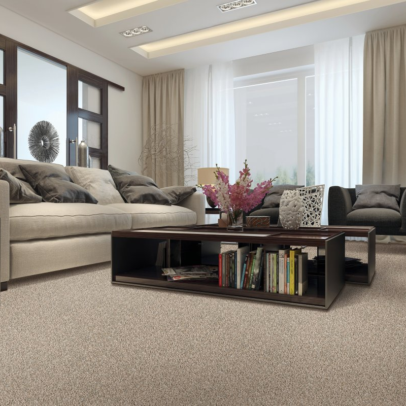 Carpet Masters providing stain-resistant pet proof carpet in Saint Joseph, MO - Native Charm - Woodland